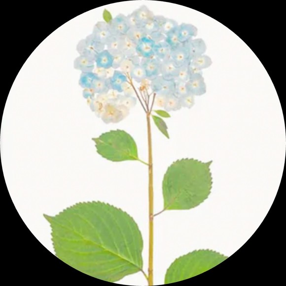 aannabbb